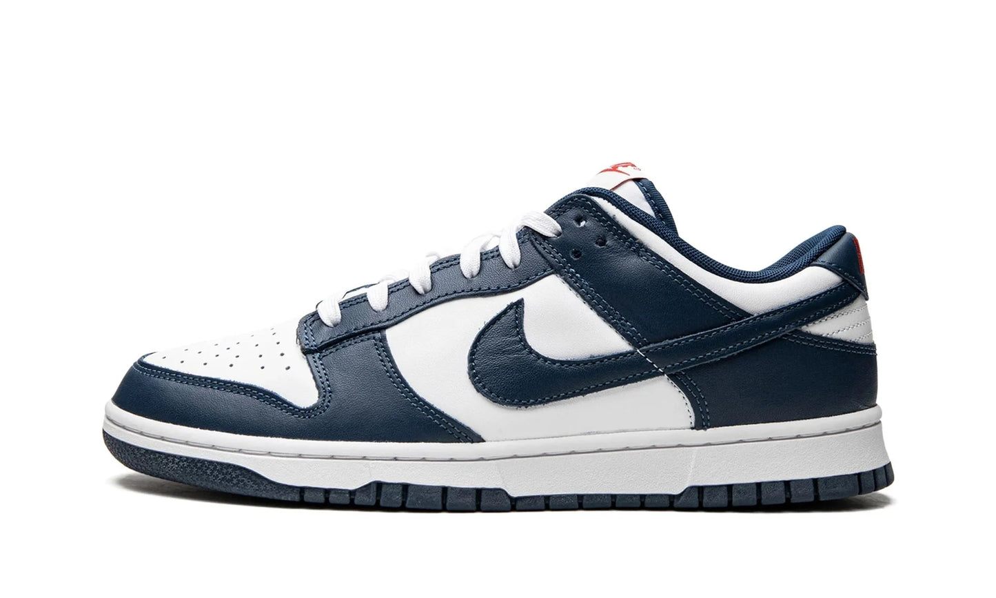 Nike Dunk Low Valerian Blue